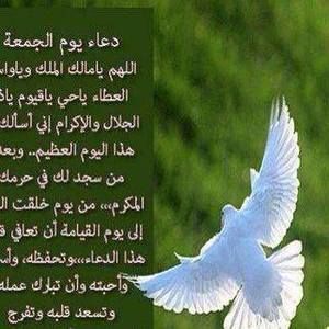 Meet your Posher, Monira